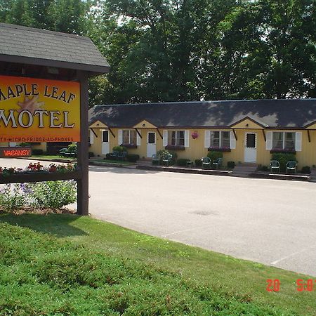 Maple Leaf Motel North Conway Buitenkant foto